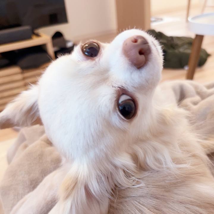 08f177c1 fb31 4af4 9d04 7e44c68b1a0f 1738795247268