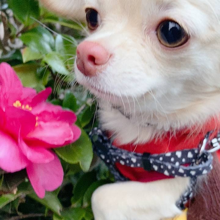 08f18809 bc97 4671 83b4 2786bf101064 1608106614738