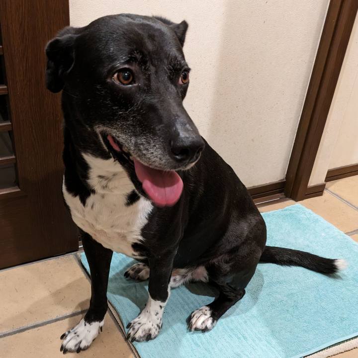 08f1896f 417f 497a 84a6 fa33be63f88d 1714732435047