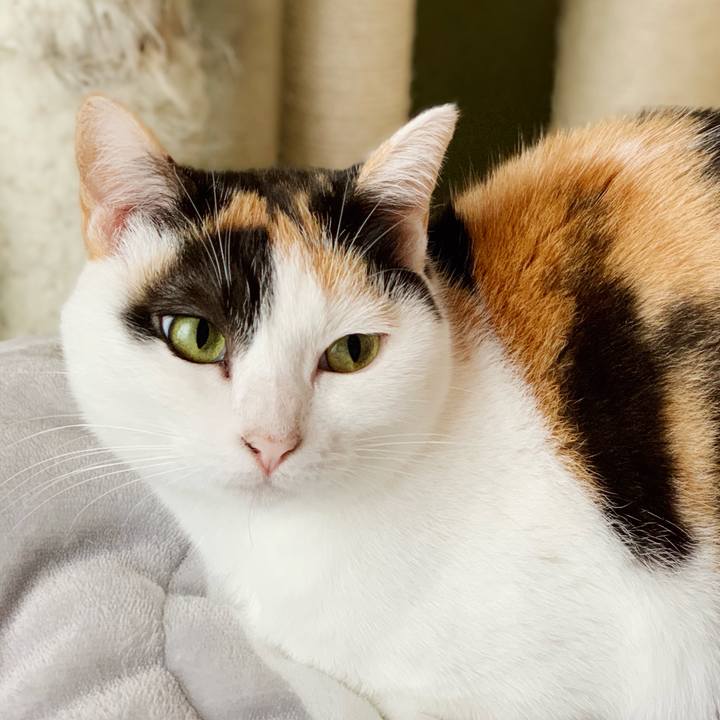 08f18ee2 7a69 4746 86eb 78fe8e44ce61 1542937828043