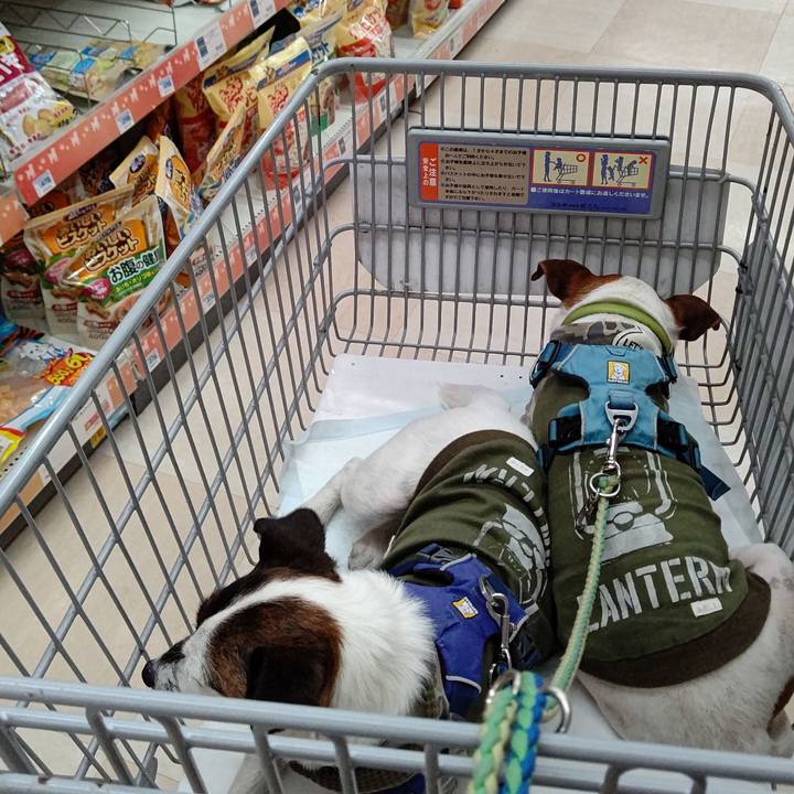 08f1a20d f22e 4c87 9bc3 6987992dbec9 1618129615668