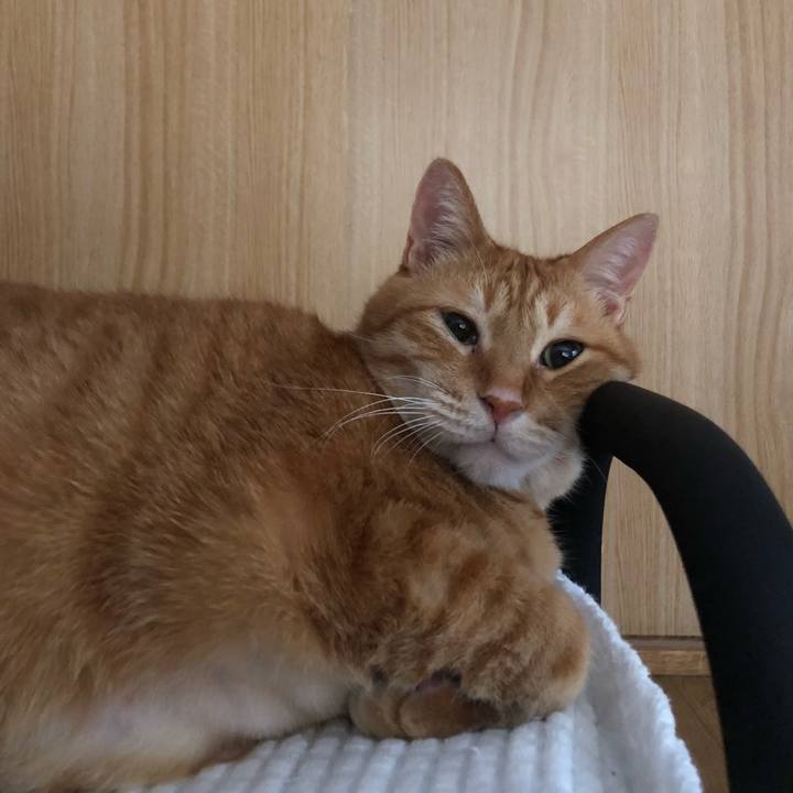 08f1b07f 2e8d 4503 b03d f2017398426b 1650141292377