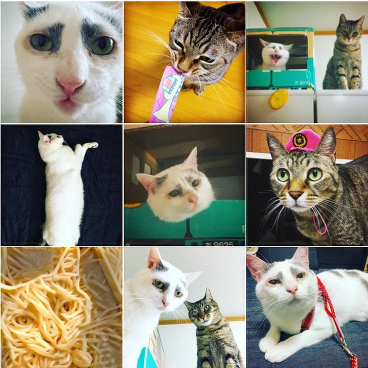 08f1b46b 02ff 48dd 845a 8b67c919b4b3 1514411400735