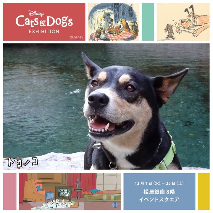 08f1d29b fe7a 49c3 91ea b4919ad02379 1638359989804