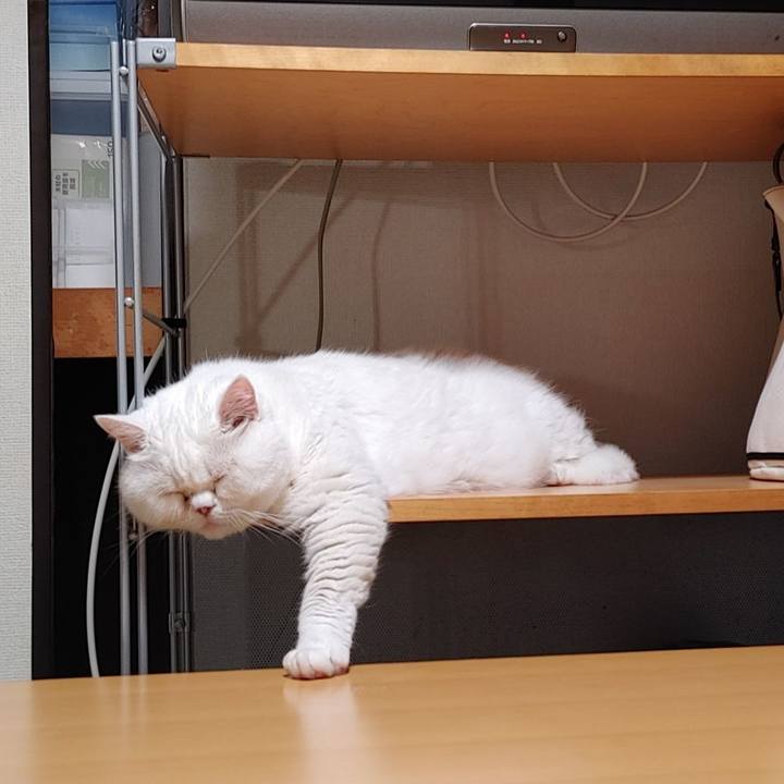 08f1e8e9 41a8 4155 b0b0 396cf856b0e2 1655904125547