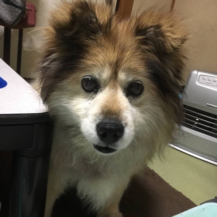 08f25f5e 9196 40dd 8b5c 38aebf71e2dd 1549873335677