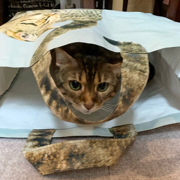 08f293d9 48e5 4e92 b3a0 657d575efb65 1617930358766