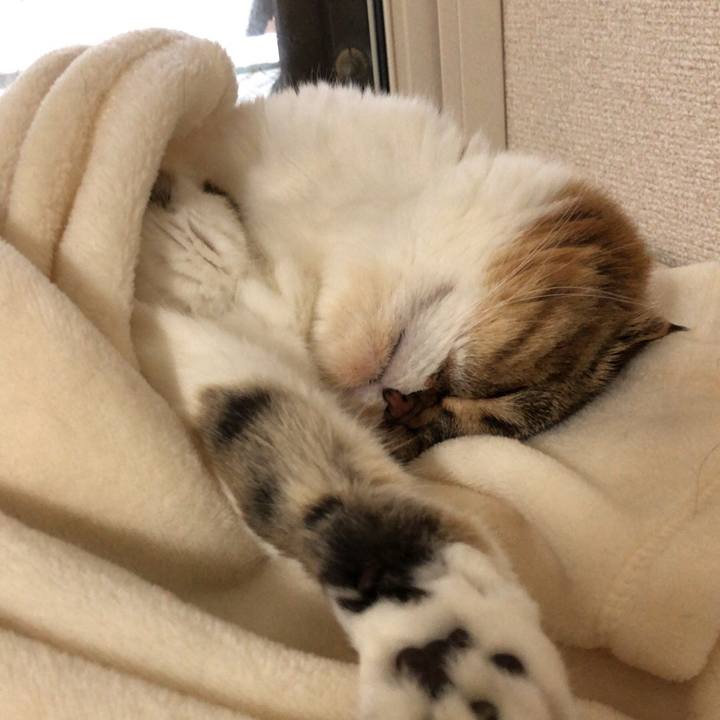 08f2a3e4 0766 41ff 8c8b efc588436198 1538202196978