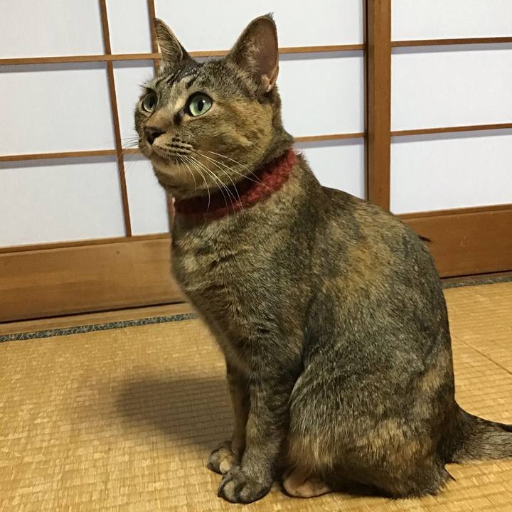 08f2d660 4a25 4c82 b194 4aa2ddddfe90 1640730047427