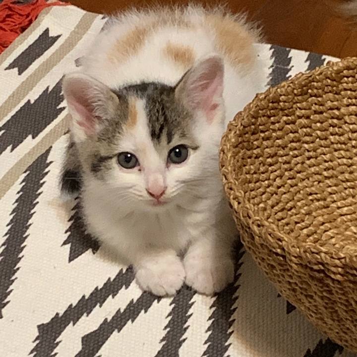 08f2e52b 2c03 4b8e a57c 10a2a429a0dd 1591012132248