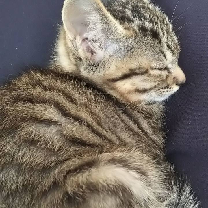 08f2fd73 613c 42bb a30e f11ee72e2c52 1634886893143