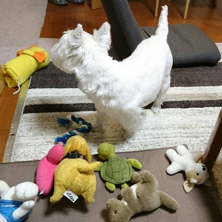 08f2fe7b b50b 44a3 8c96 d86260200879 1512917971116