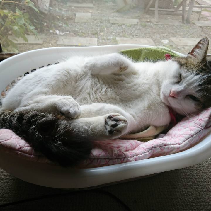 08f318ca 7f29 499f 9d3b 3efad24ae8de 1522975099091