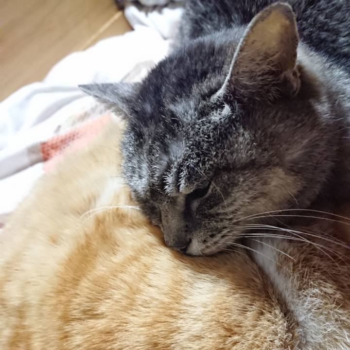 08f34373 dac0 434a a55a 6bc28b9a0ad4 1585052587253