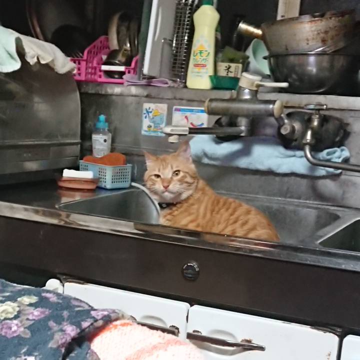 08f36855 4c31 4d5b 85de b70ba852bc77 1643233336452