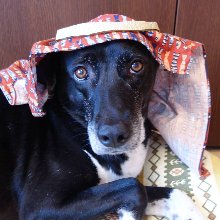 08f3b6fc 8aab 4a95 9690 5b8a6746b6cb 1721605037413