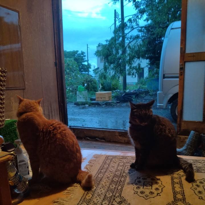 08f43146 4422 460b 8048 33c7b7ce16ca 1754473546903