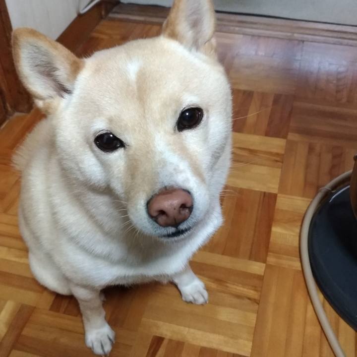 08f44cab 5e01 4009 9542 2a3b6f32e85c 1611096416586