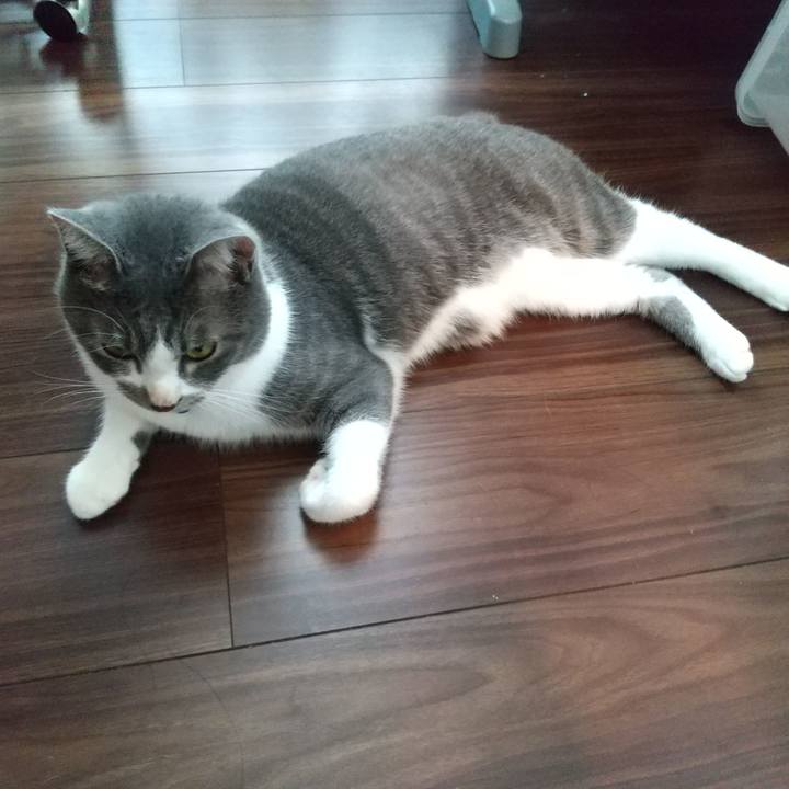 08f46650 e49c 49c7 9c12 2ddf6bf2b042 1602976326675