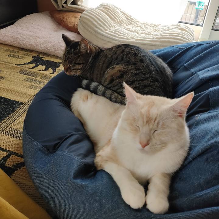 08f49ac0 5977 4141 a005 418995d8801b 1654490084784