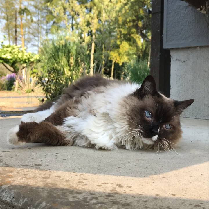 08f50cb8 db4e 4ed0 ae79 96588a9f8125 1588114974651