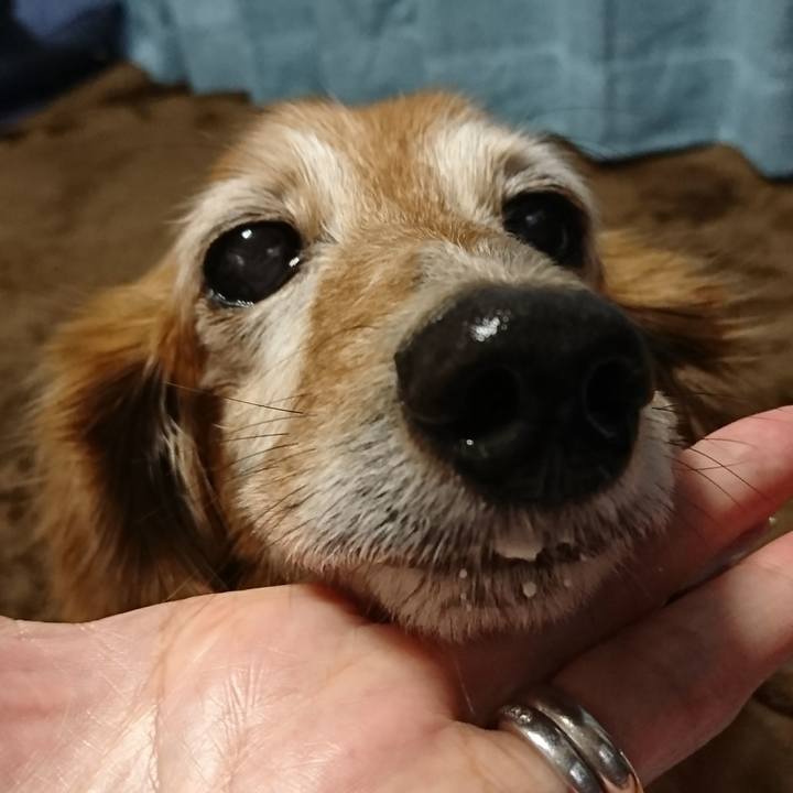 08f52eec f02c 41bb 8b0d 074e2ad1fdfd 1514780560987