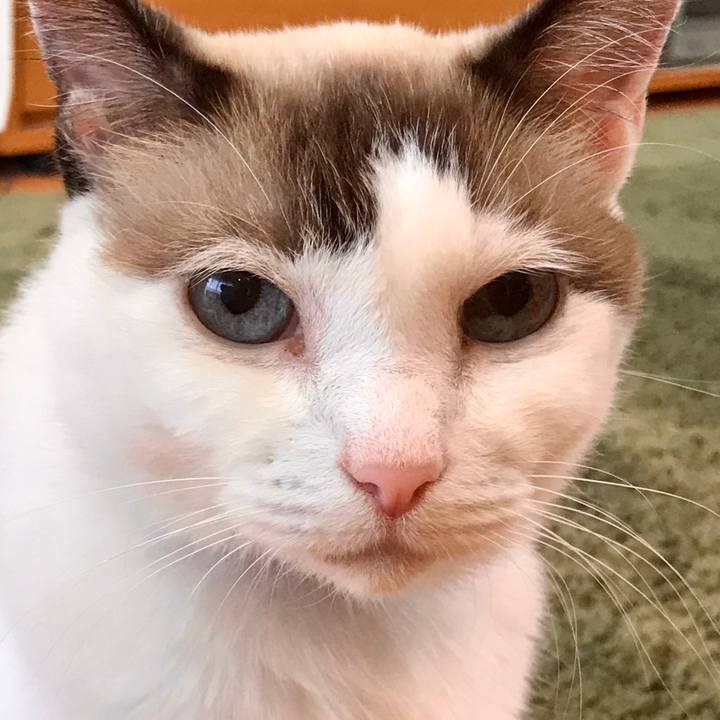 08f56fb0 93a1 4ee0 bb33 d39fb91dcfb9 1602854514340