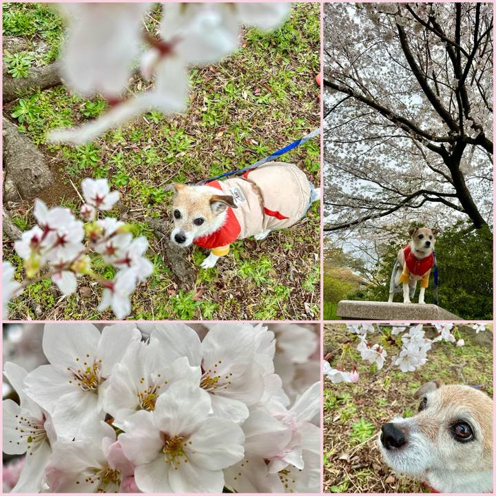 08f597d6 2189 4ba1 8f93 72d9b37d111e 1712398814631