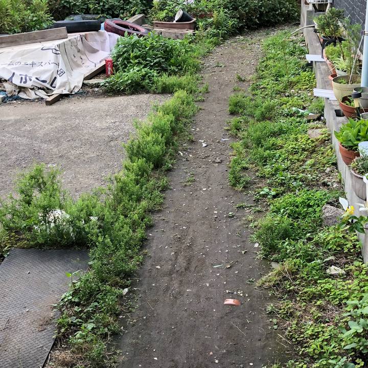 08f5b08c d5c5 4dc7 a9a8 c6c14a42298f 1529686797002