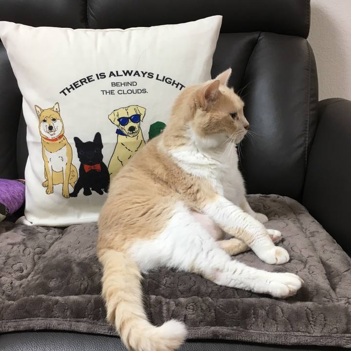 08f5f549 0561 4f58 8bef 935020ed95f9 1531236136856