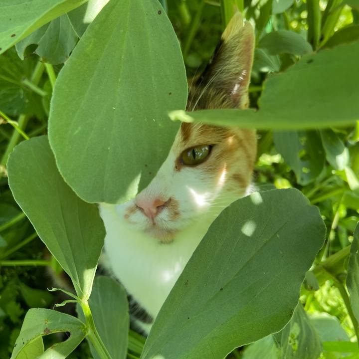 08f61d63 ef40 4c72 82db b4cd0d22613d 1653897282657