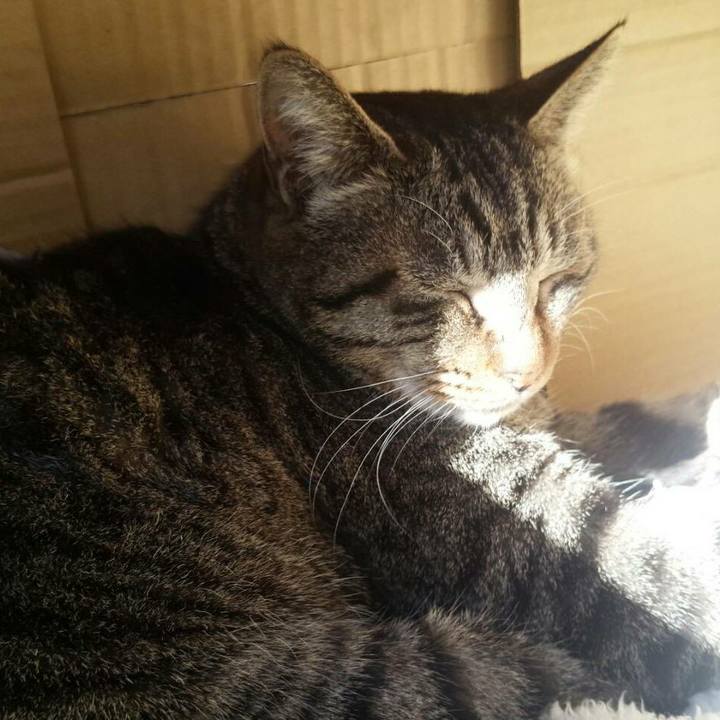 08f62980 ee68 43e5 b02c 9eb9e4836725 1513676999137