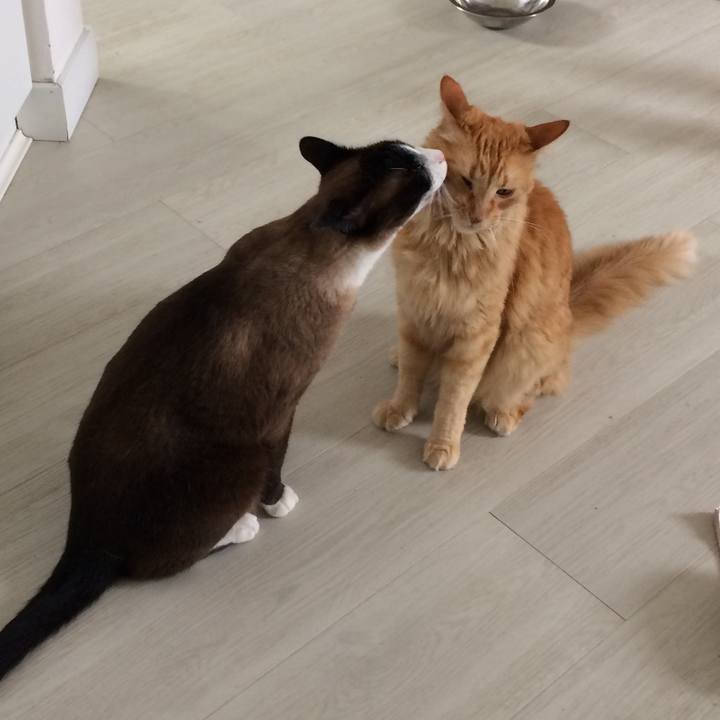 08f629e0 7f06 4356 a495 8b6535b2be66 1551385448662