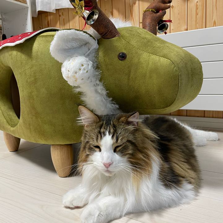 08f6377a 217c 451f a616 714847588040 1669586552892