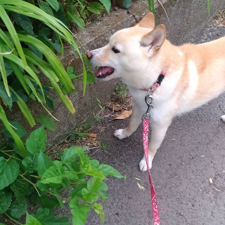 08f63f33 8b8b 46c5 a1f8 e685f3ae038d 1559032862508