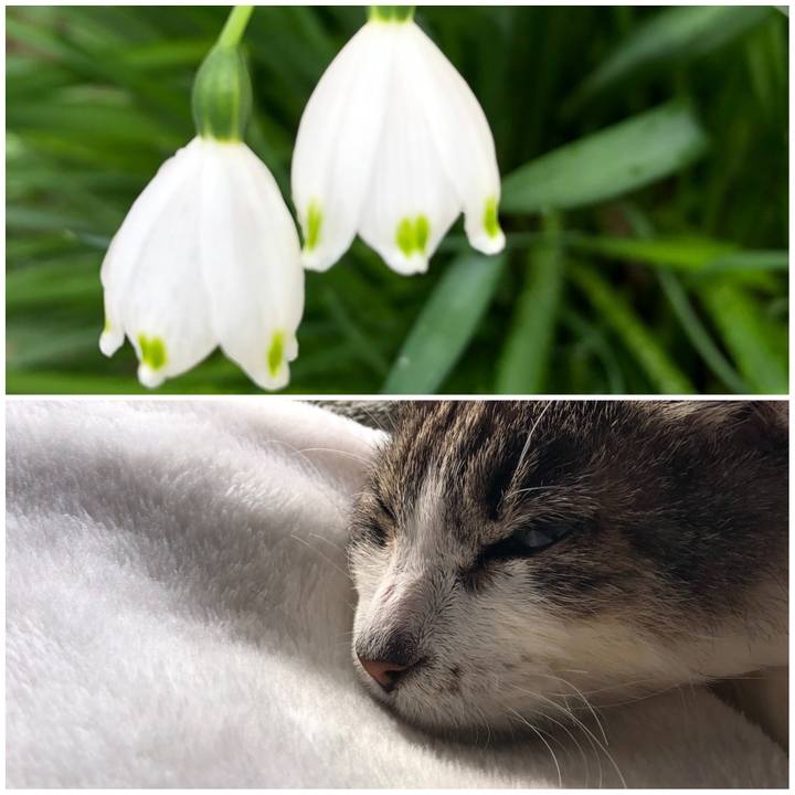 08f644c6 e81b 4f5a 9dc4 32106bb2d29e 1583370038137