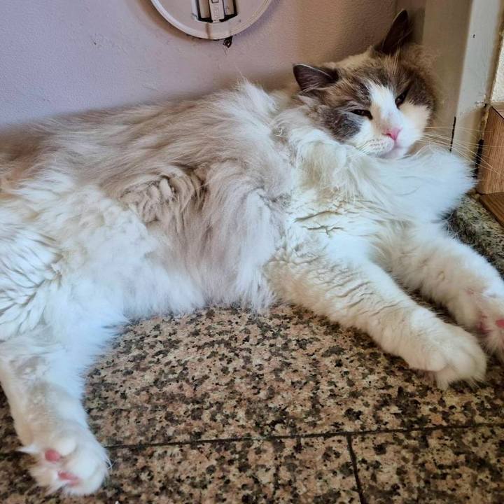 08f689e4 b7d6 41d4 b172 e9d1ca4d244f 1752277665798