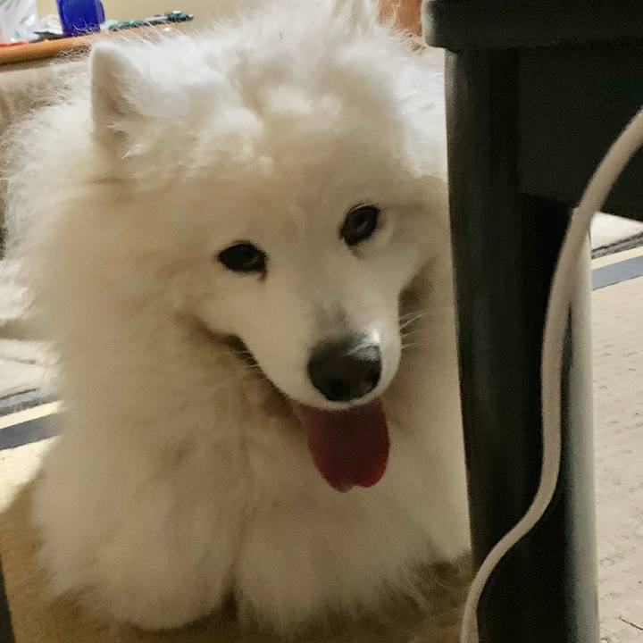 08f6cf52 275a 4da3 93ea b6172bc22421 1622330068511