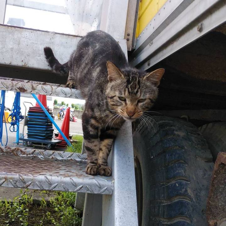 08f6d8d5 4c0f 4c39 9273 adfd25cd74c4 1624234576230