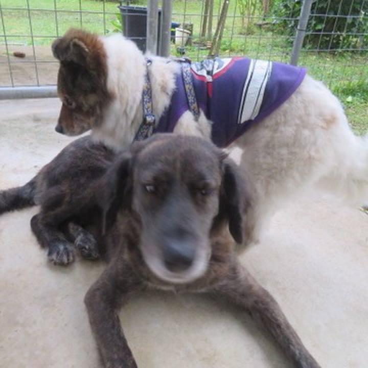 08f7021d 20c0 445b 855f d7b7416d72e2 1609854318616