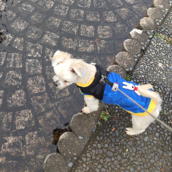 08f71bc2 6656 48d8 9952 7567fcff90d1 1544161273162