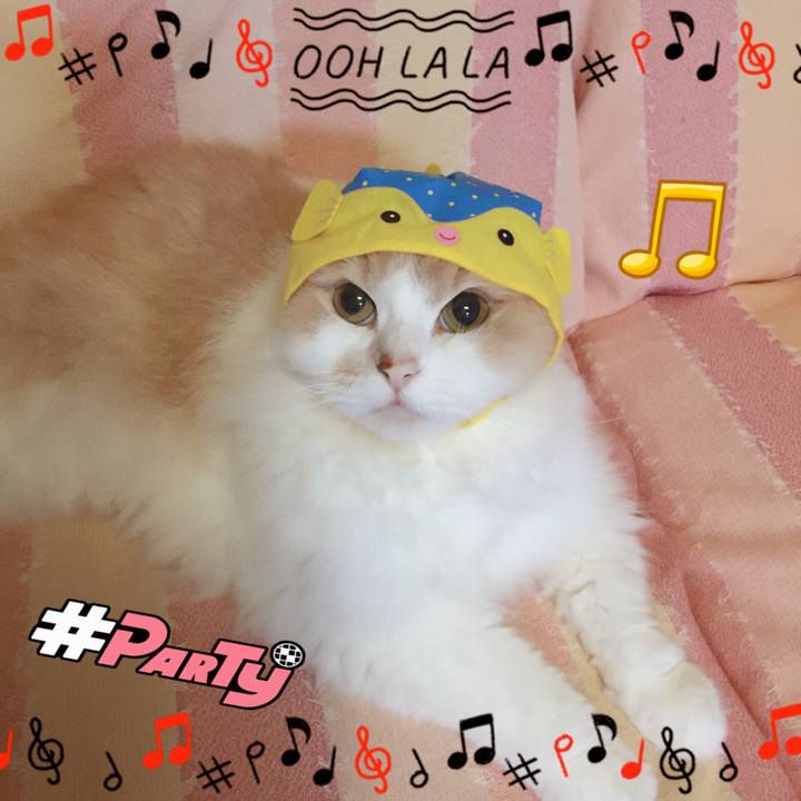 08f7218e b703 4dcf ac34 257312bac02e 1535034117783