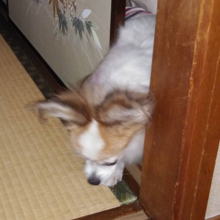 08f724ae 4e29 45c6 9772 526980f08509 1534512976681