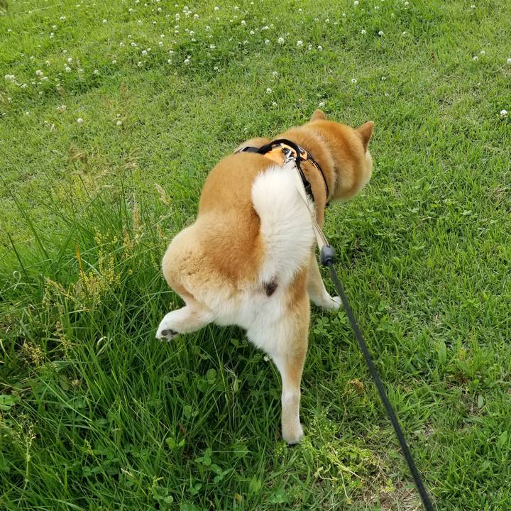 08f769a8 f436 4676 88bb 41fd50b3a6bd 1655796941104