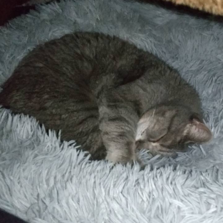 08f7937e 2292 46ea 9471 e534e2e035d9 1676548525362