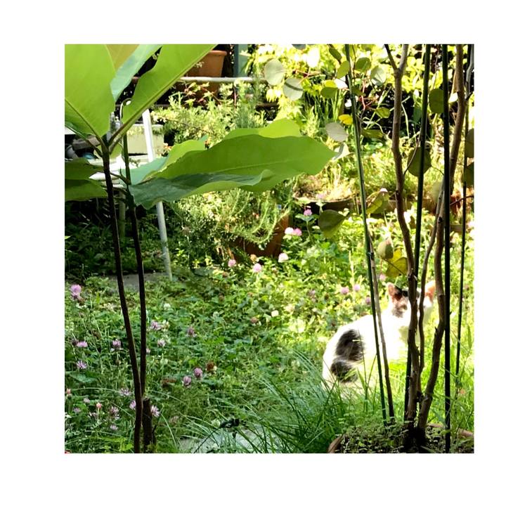 08f7b4bf 02c5 4600 ad97 1df55524f6a6 1558662497232