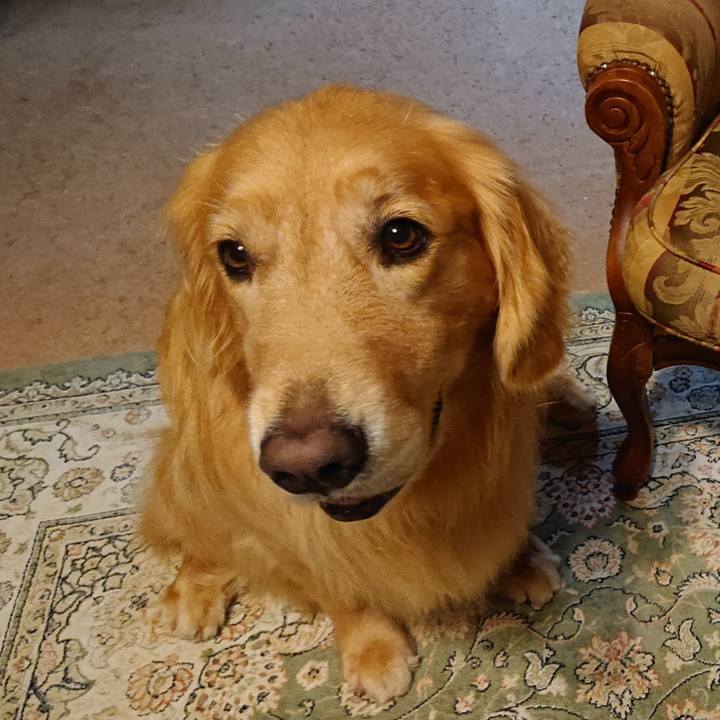 08f7d291 180a 4499 9d68 7484f6135ba9 1583244281868