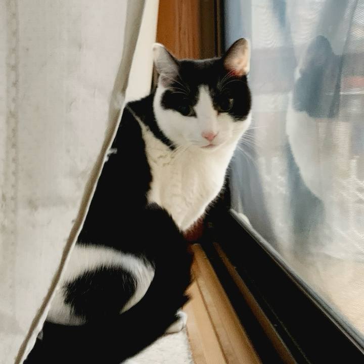 08f7dfc4 0db5 499c b0a5 cc87e358ef4e 1584583616842