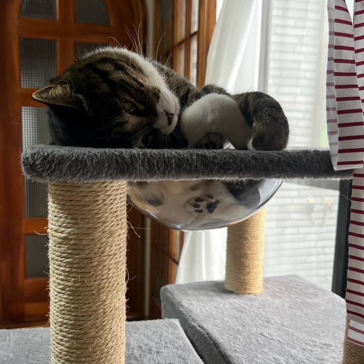 08f81858 9ea8 41e2 9385 e78d8e0c93ff 1770767403159