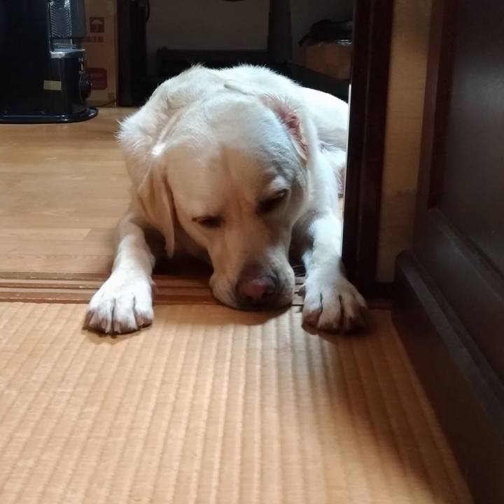 08f8315e aa35 4b2e a75c 4928db0f1562 1530461770200